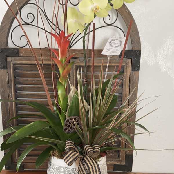 Tropical orchid and bromeliad arrangement in a patterned pot with ribbon