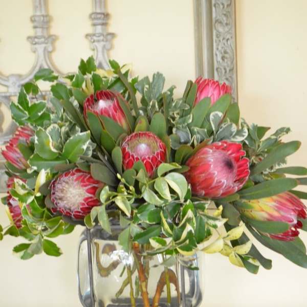 Protea arrangement in a clear glass vase
