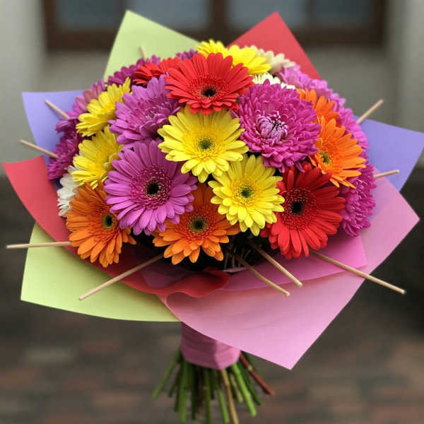 Colorful bouquet of gerbera daisies wrapped in pastel paper