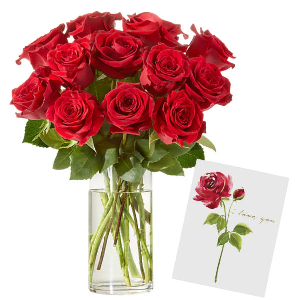 Dozen Rose Bundle