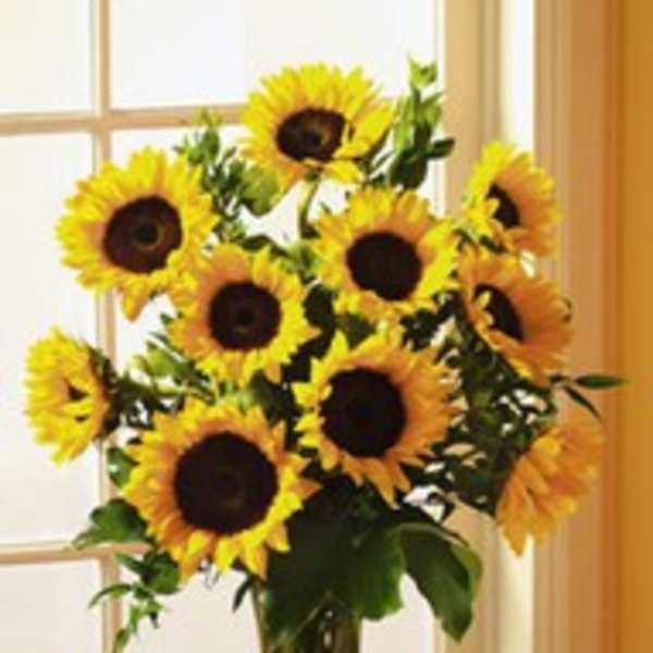 Bouquet of sunflowers in a clear glass vase
