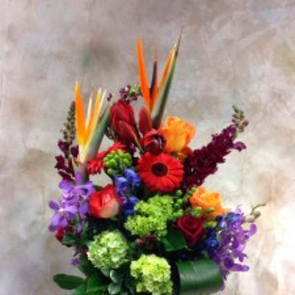 Colorful tropical bouquet in a black vase with bird of paradise and roses