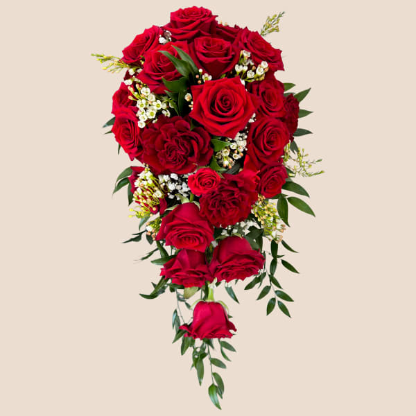 Cascade bouquet of red roses with small white filler flowers