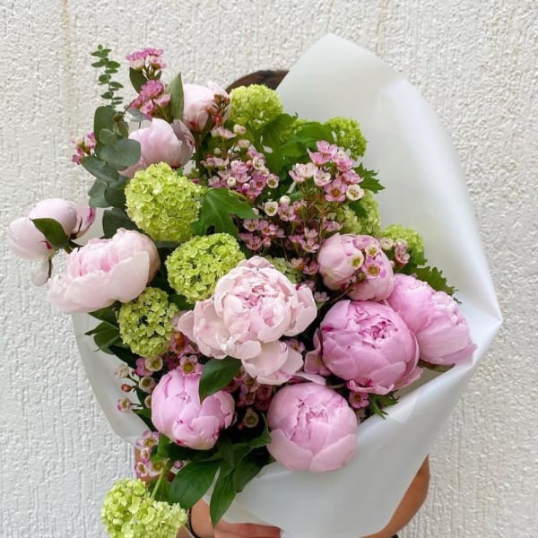 Bouquet of pink peonies and green hydrangeas wrapped in white paper