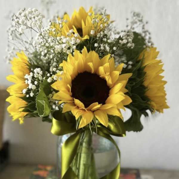 Sunflower bouquet in a glass vase with white baby's breath and green ribbon
