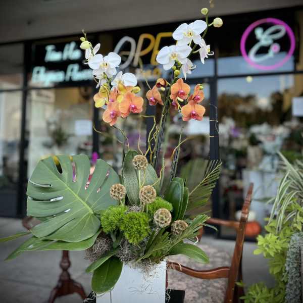 Orchid arrangement in a white square container with tropical foliage