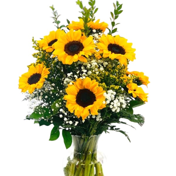 Bouquet of yellow sunflowers with white filler flowers in a clear glass vase