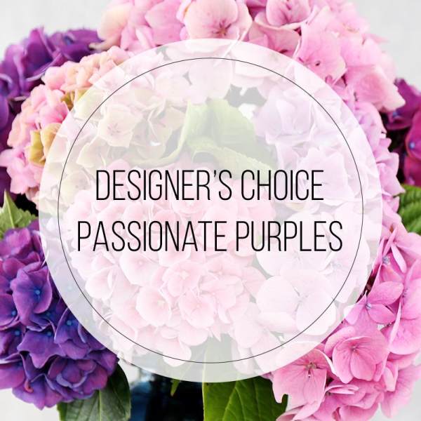 Cluster of purple and pink hydrangea blooms with a circular text overlay reading Designer's Choice Passionate Purples