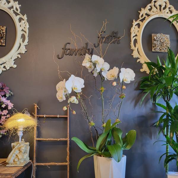 White orchids in a tall white vase with decorative branches