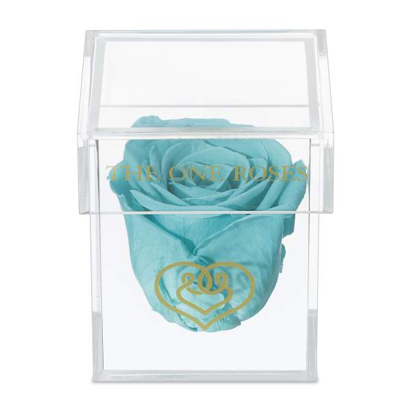 Single turquoise rose in a clear display box