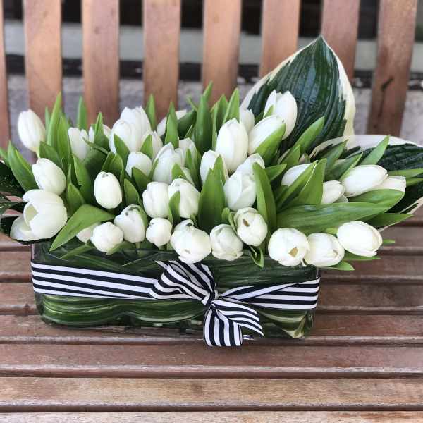 White tulips arranged in a rectangular glass vase with a striped ribbon