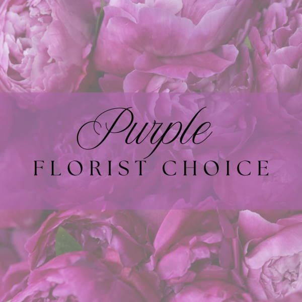 Purple Florist's Choice