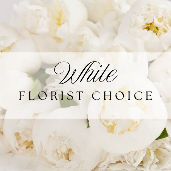 White Florist Choice