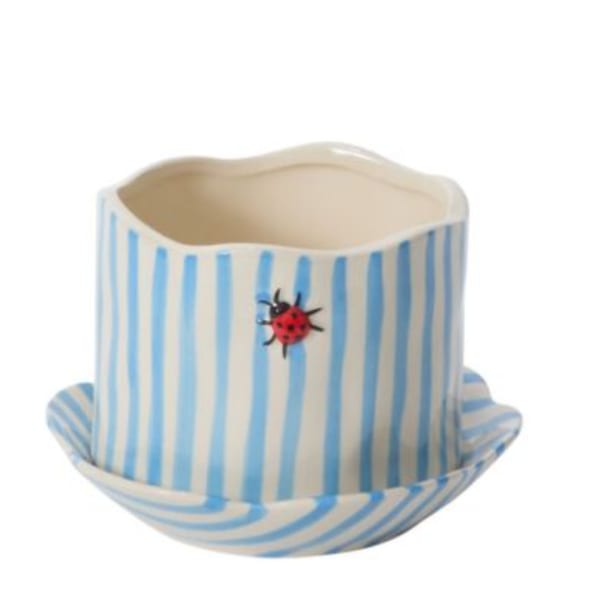 Ladybug Pot with Saucer