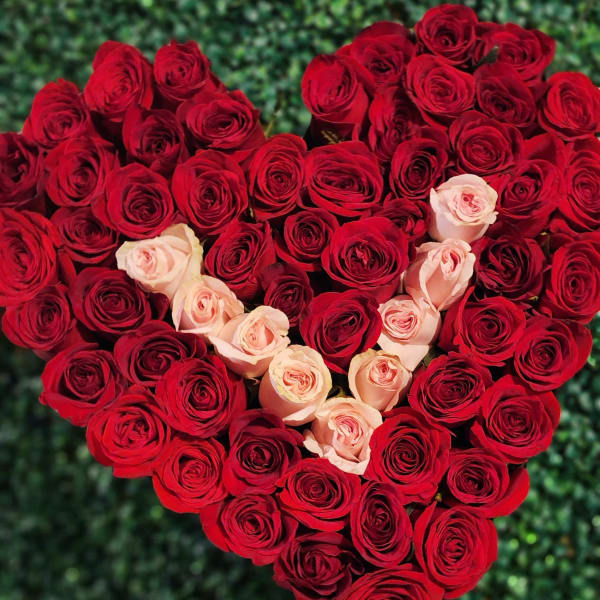 Heart-shaped bouquet of red and blush roses