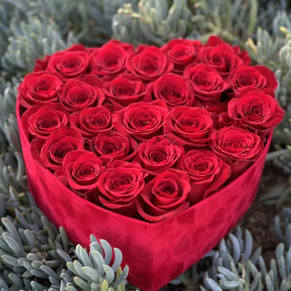 Heart-shaped bouquet of red roses wrapped in red paper