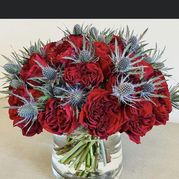 Red roses arranged in a clear glass vase with blue thistle accents.