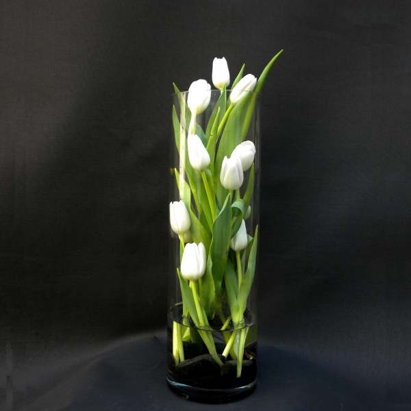 White tulips arranged in a tall clear glass vase