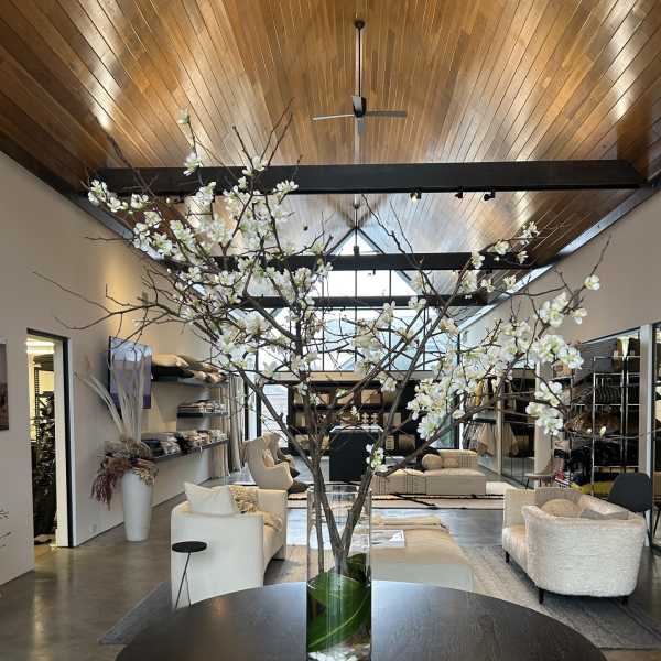 Weekly Special Flowering Quince Branches