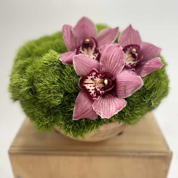 Pink orchids arranged in a moss-covered container