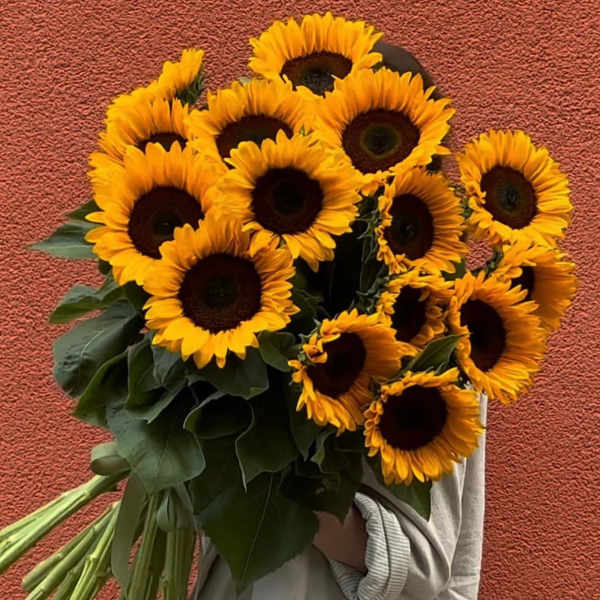 Bouquet of sunflowers with dark centers and green leaves