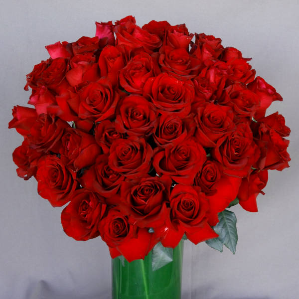 Bouquet of red roses in a tall green vase