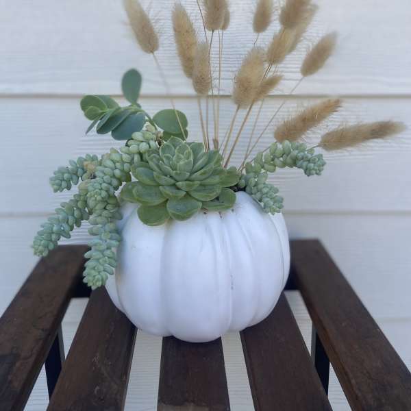 Succulent arrangement in a white pumpkin container with beige dried grasses