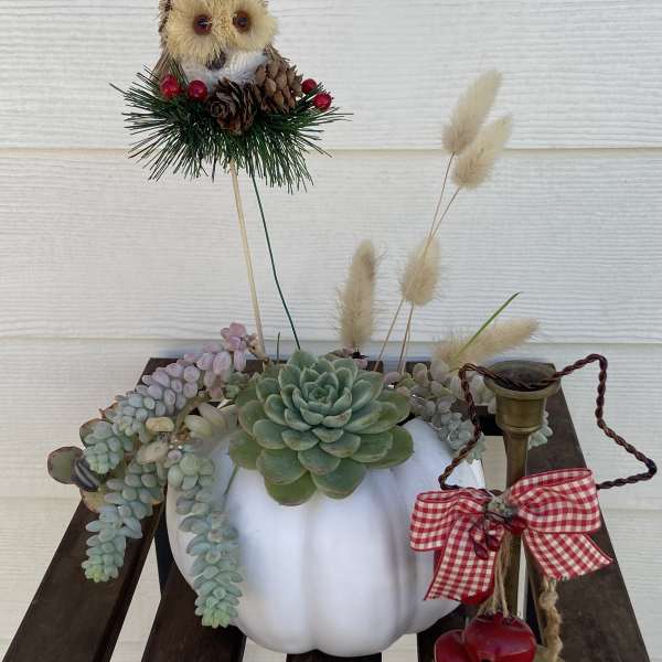 Succulent arrangement in a white pumpkin with an owl topper and brass candle holder