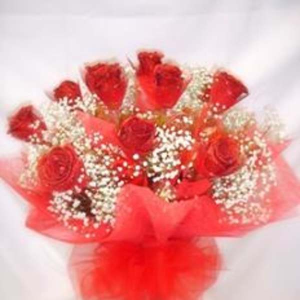 Hong Kong Style Roses - Red