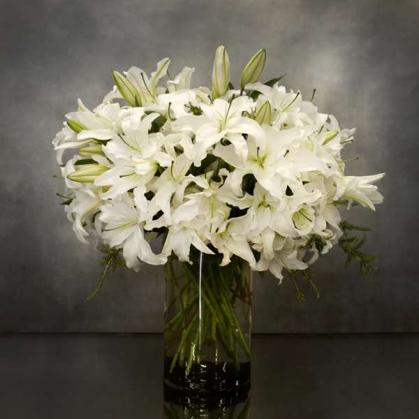 White Casablanca In A Vase