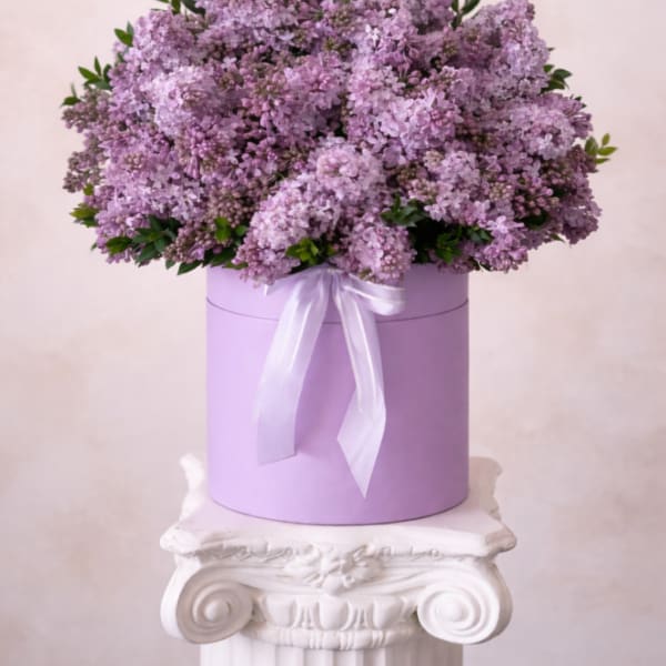 Lavender lilac bouquet in a round purple box with a white ribbon