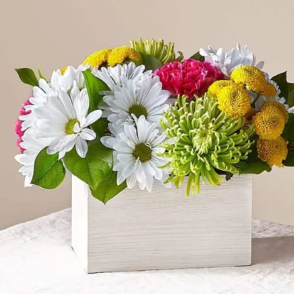 Mixed bouquet of white daisies, yellow mums, and pink flowers in a white box