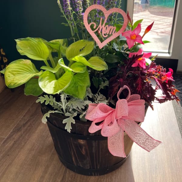 Mixed potted flowers and foliage in a dark wooden basket with pink ribbons.