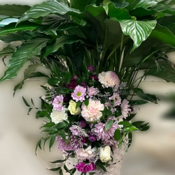 Lavender Peace Lily Tribute Bouquet