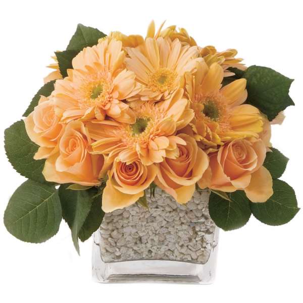 Orange roses and gerbera daisies in a clear square vase.
