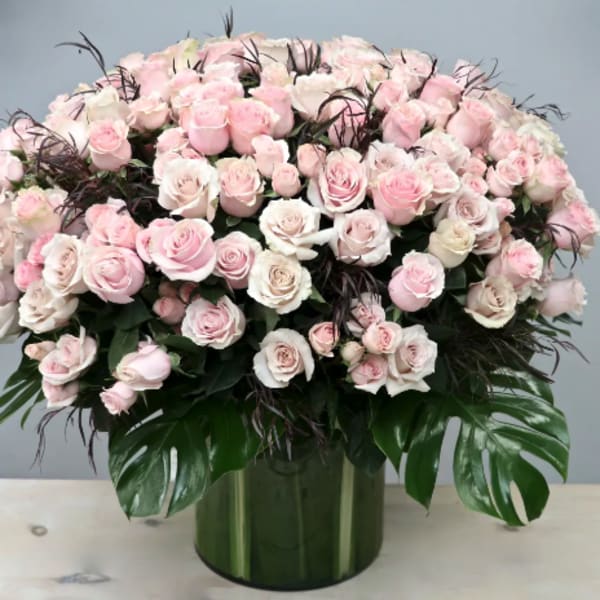 Large dome of pale pink and ivory roses in a green glass cylinder vase with glossy tropical leaves.