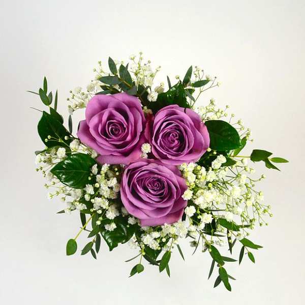 Three purple roses with white filler flowers and greenery
