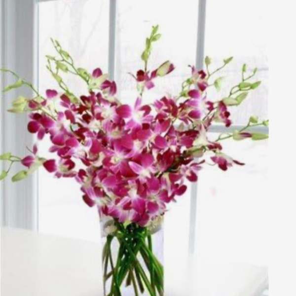 Pink orchids arranged in a clear glass vase