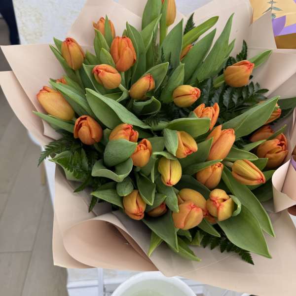Bouquet of orange tulips wrapped in pale paper