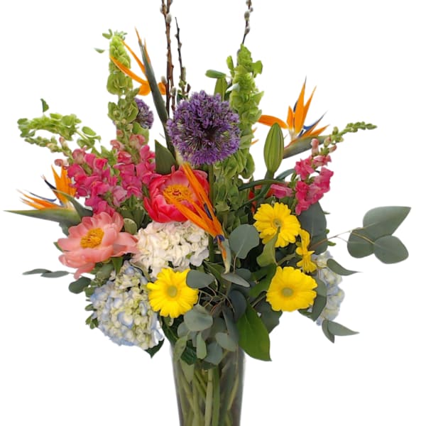 Spring Into Summer Celebration