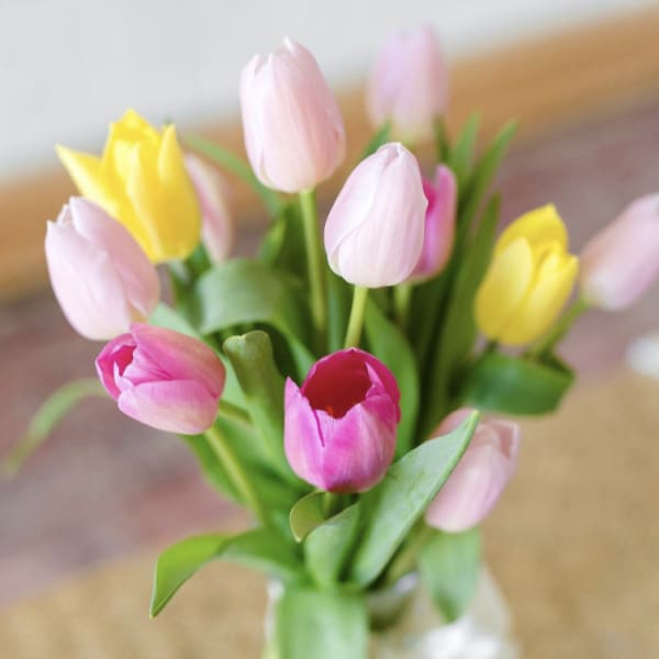 Vase of pink and yellow tulips tied with a white ribbon