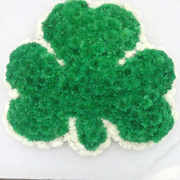 Green and white chrysanthemum arrangement shaped like a clover