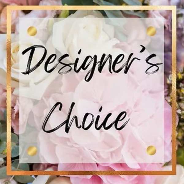 Designer’s Choice