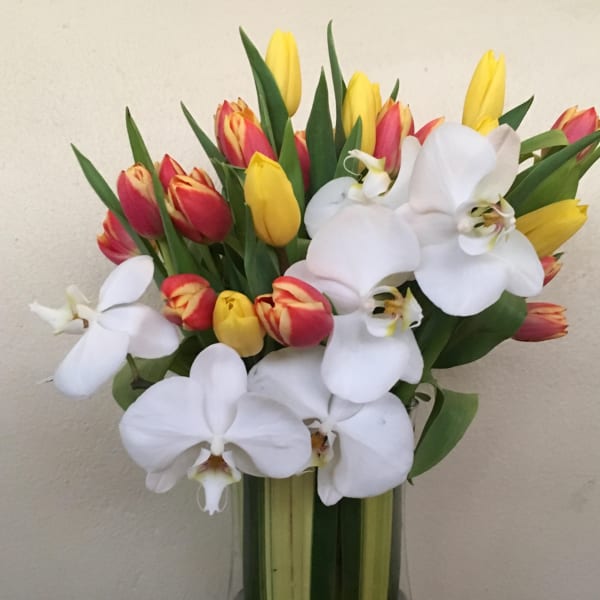 Bouquet of red and yellow tulips with white orchids in a glass vase