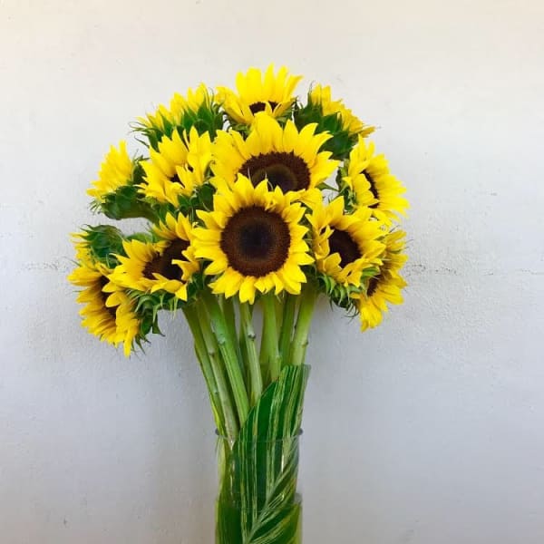 Bouquet of yellow sunflowers in a tall glass vase