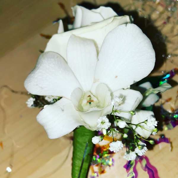 White orchid bloom with small white filler flowers