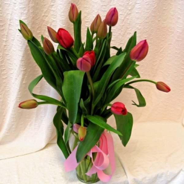 Bouquet of red and pink tulips in a clear glass vase with a pink ribbon