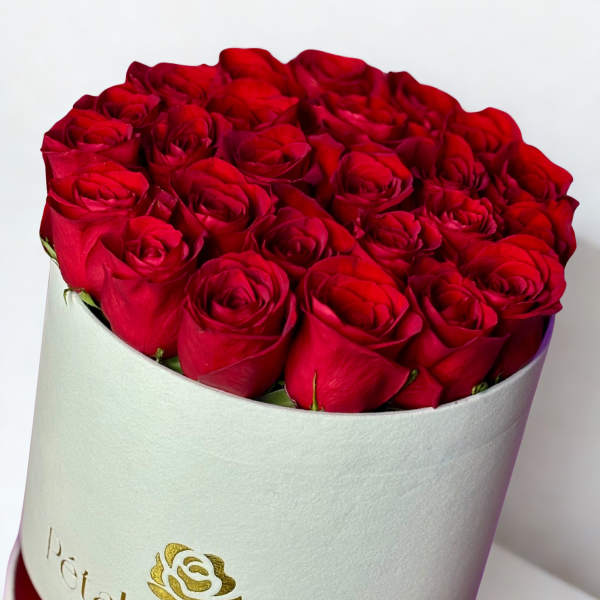 24 Roses Deluxe Box