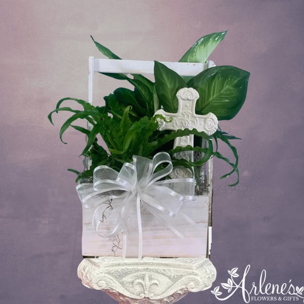 Potted green plant in a white wooden box with a decorative cross and ribbon