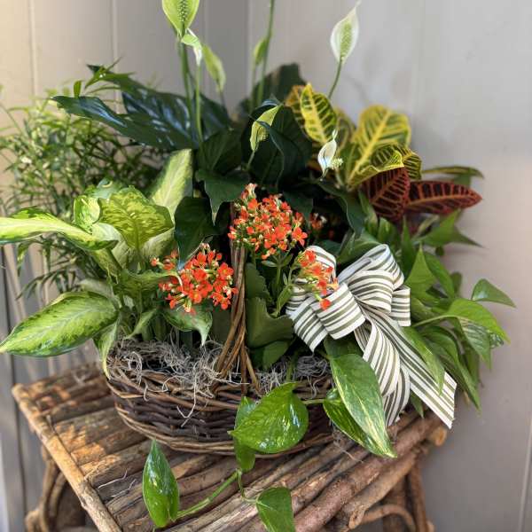 Basket planter with white peace lilies, orange blooms, and assorted foliage
